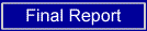 Final Report